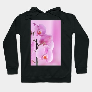 Pink orchids Hoodie